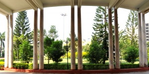Green Campus at KIIT University