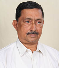 Mr. W. Easwar