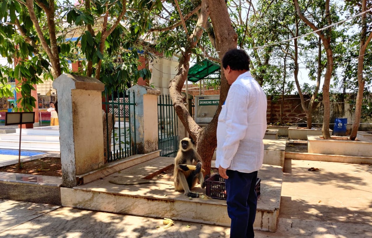 Art-of-Giving-by-Dr-Achyuta-Samanta-during-Corona-7